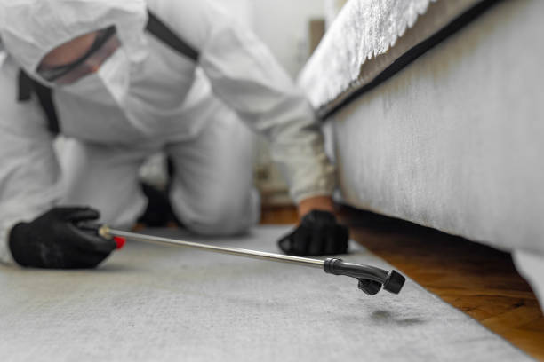 Professional Cockroach Control technician working in Denmark, WI